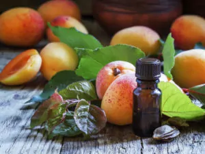 Aprikosenöl